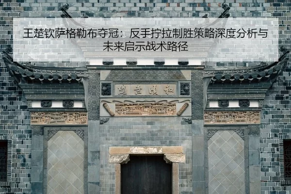 wang-chu-qin-sa-ge-lei-bu-duo-guan-fan-shou-ning-la-zhi-sheng-ce-lve-shen-du-fen-xi-yu-wei-lai-qi-shi-zhan-shu-lu-jing-2-501.jpg
