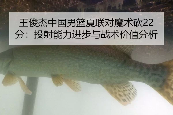 wang-jun-jie-zhong-guo-nan-lan-xia-lian-dui-mo-shu-kan-fen-tou-she-neng-li-jin-bu-yu-zhan-shu-jia-zhi-fen-xi-2-581.jpg